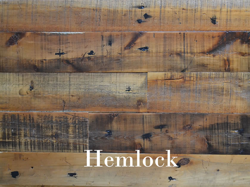 Hemlock copy center