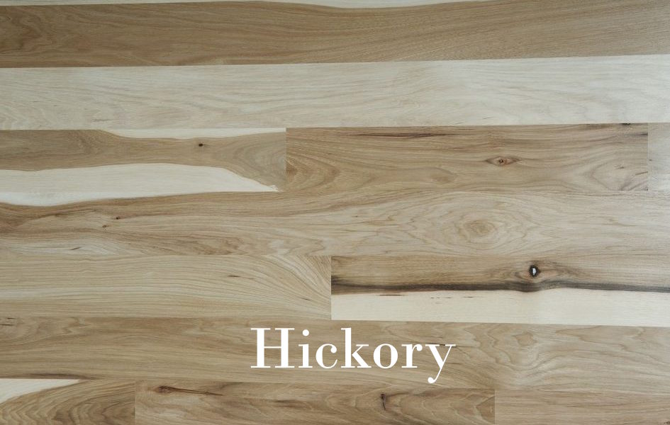 Hickory