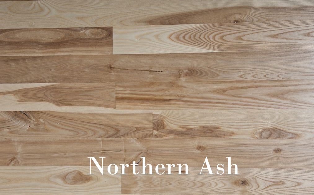 Northern Ash copy center