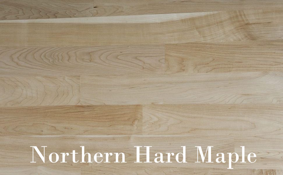 Northern Hard Maple copy center