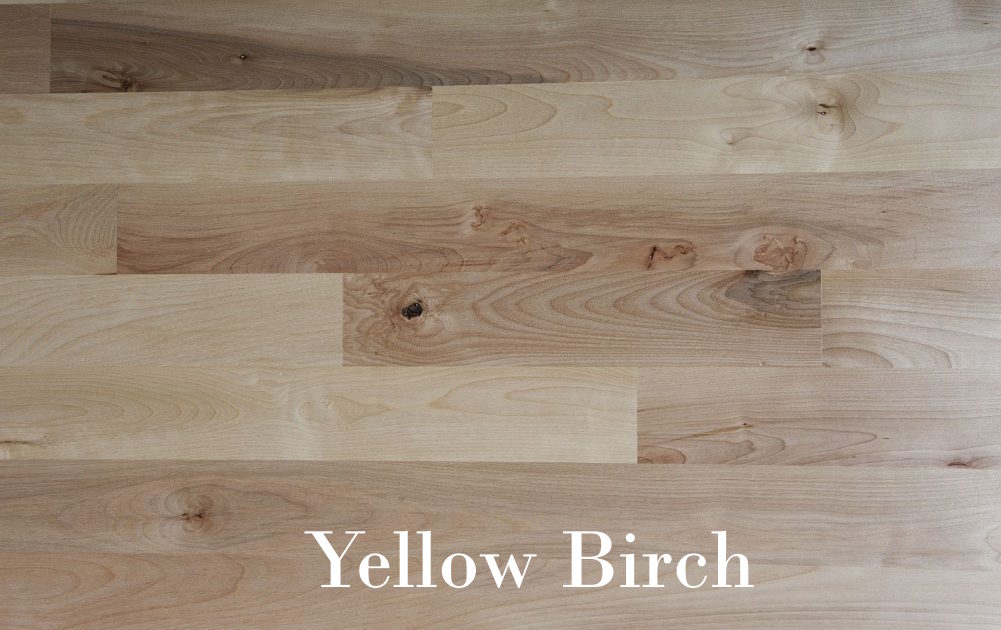 Yellow Birch copy center